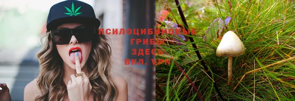 спайс Арсеньев