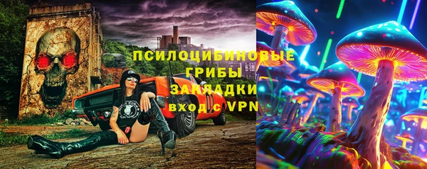 гашик Нефтегорск