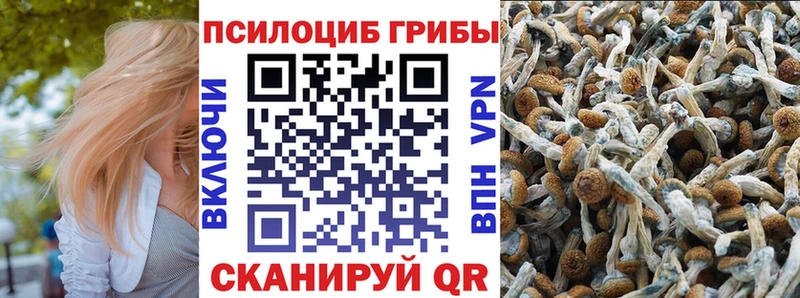 Галлюциногенные грибы MAGIC MUSHROOMS  Рузаевка 
